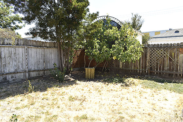 Backyard B