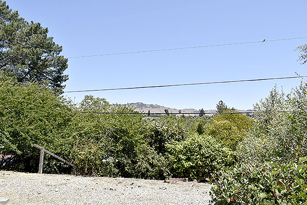 Backyard E