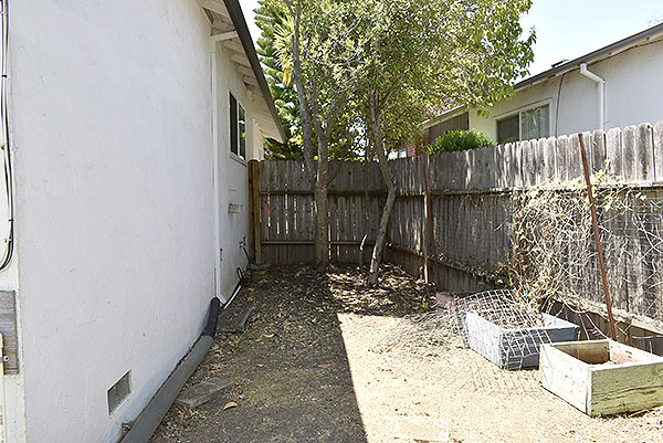 Sideyard 2