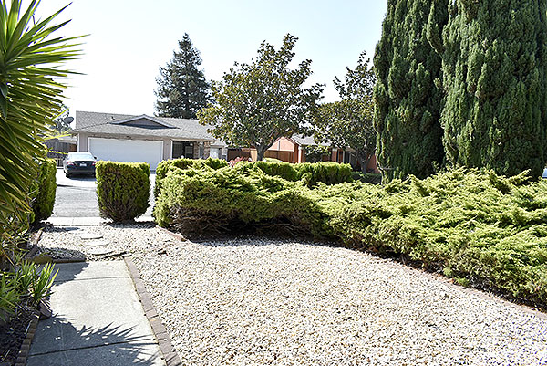 Frontyard