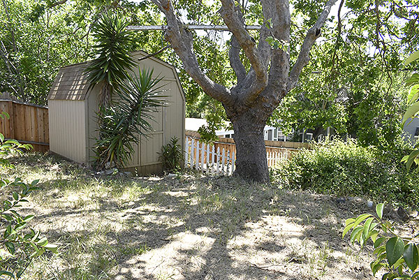 Backyard