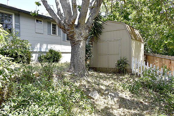 Backyard D