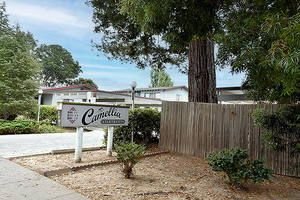Camillia Apartments