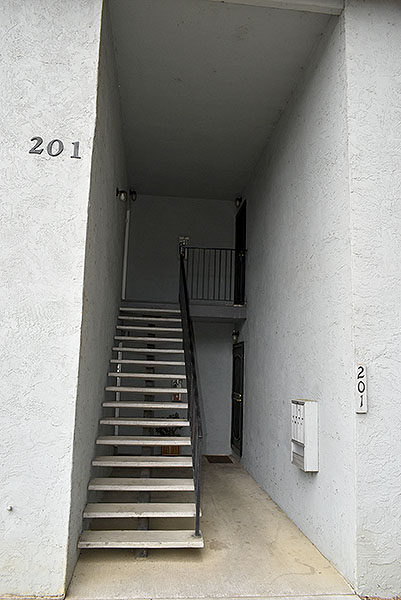 Entry Stairs