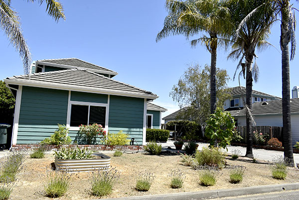 frontyard