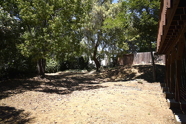 Backyard