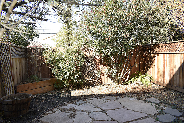 Backyard B