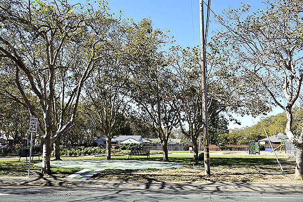 Park