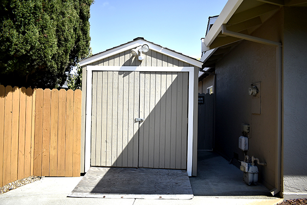 Shed